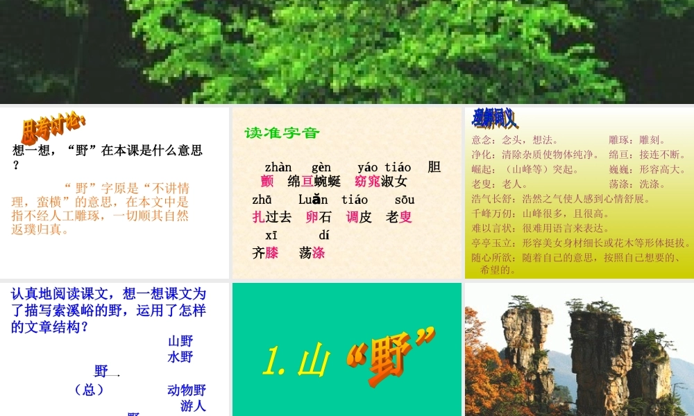 索溪峪的野课件 (2)