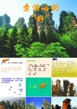 索溪峪的野课件 (2)