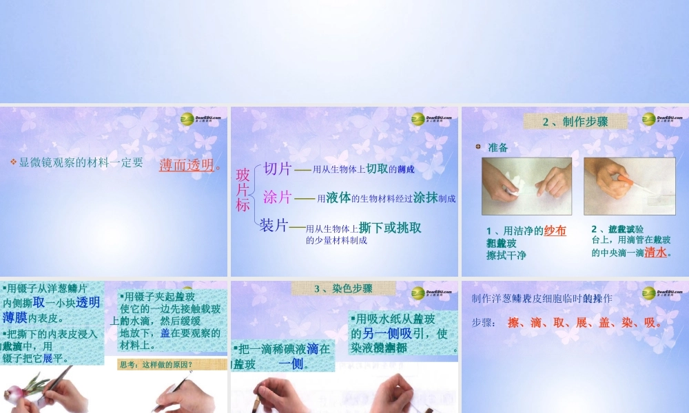 中学七年级生物上册 植物细胞课件 新人教版 课件