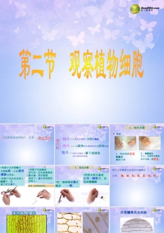 中学七年级生物上册 植物细胞课件 新人教版 课件