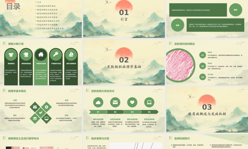 皮肤组织病理学之银屑病病理护理课件