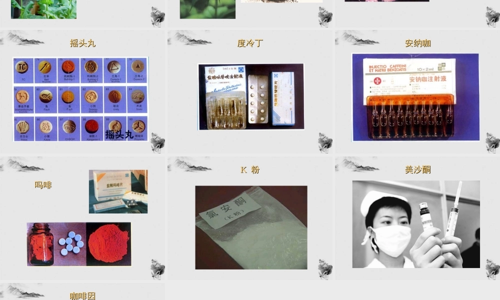 八年级生物下册 毒品的种类课件 人教新课标版 课件