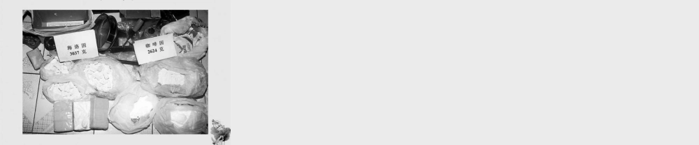 八年级生物下册 毒品的种类课件 人教新课标版 课件