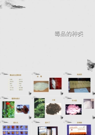 八年级生物下册 毒品的种类课件 人教新课标版 课件