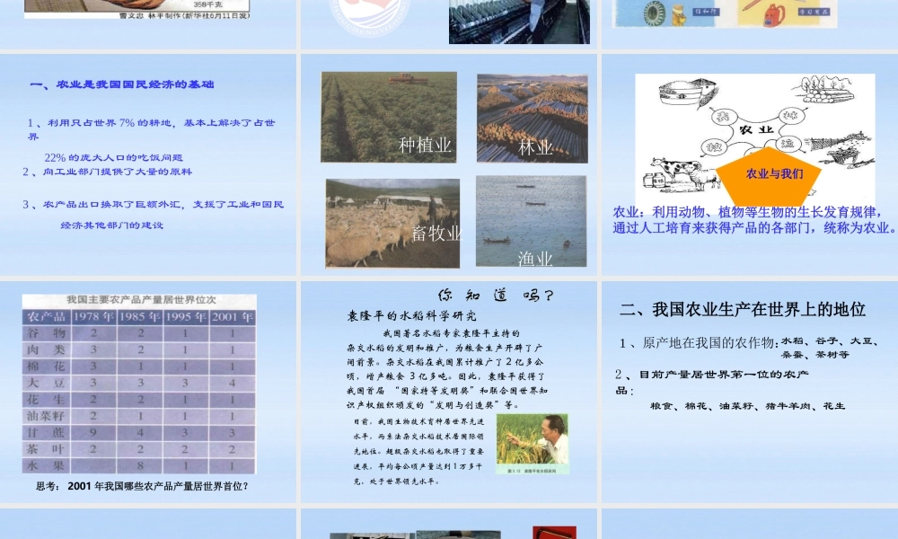 八年级地理下册 中国农业的课件 湘教版 课件