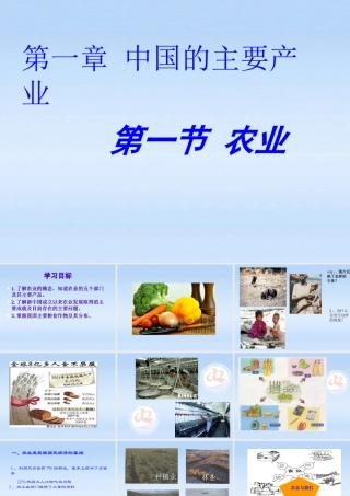 八年级地理下册 中国农业的课件 湘教版 课件