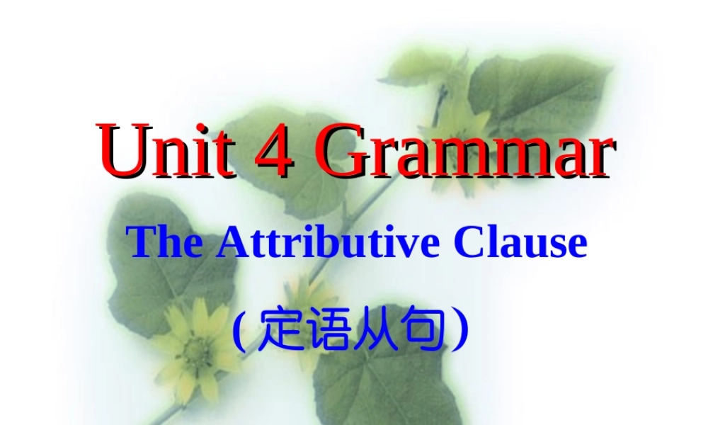 九年级英语定语从句全面的定语从句讲解和练习,好 课件 北师大版全册 课件