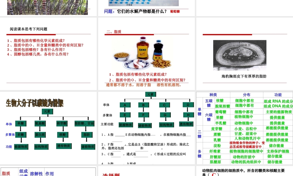 第4节_细胞中的糖类和脂质;