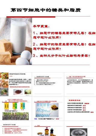 第4节_细胞中的糖类和脂质;