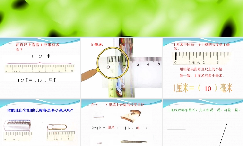 《分米和毫米》