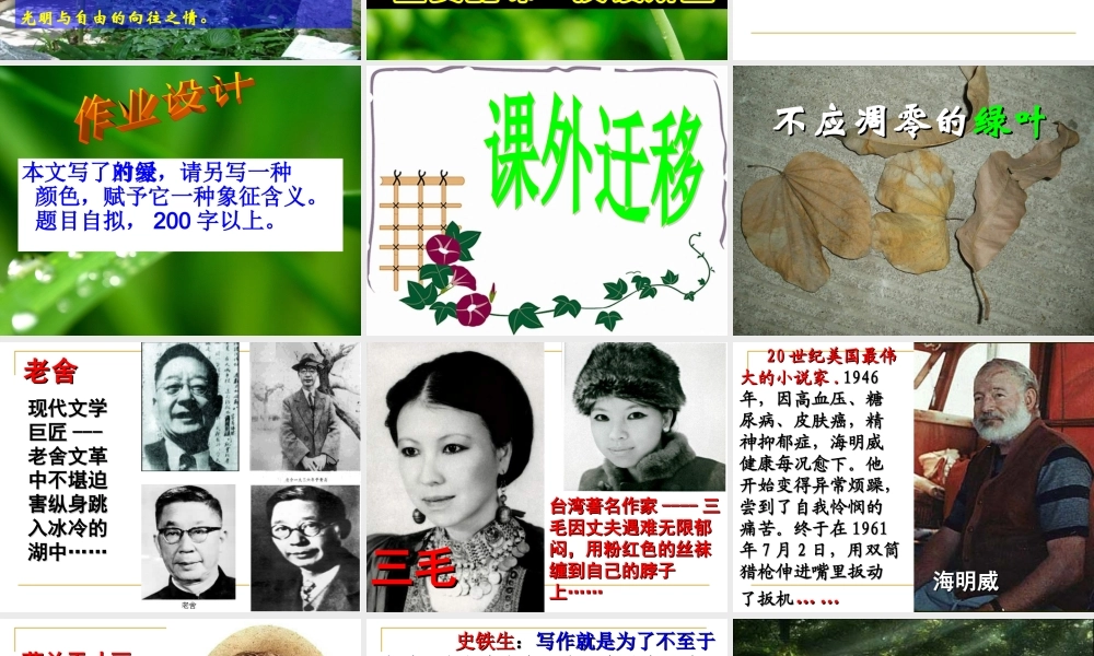 囚绿记公开课课件