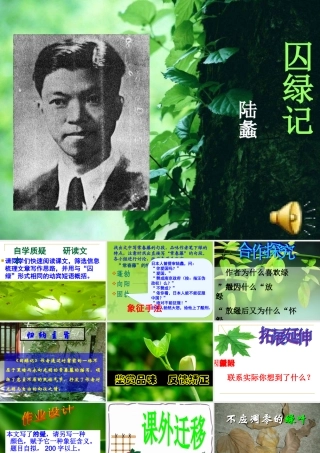 囚绿记公开课课件