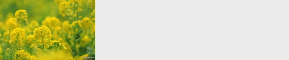 广东地区高一数学三角函数的诱导公式 新课标 苏教版 课件