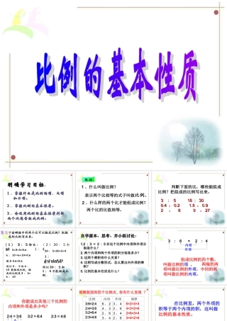 2015比例的基本性质