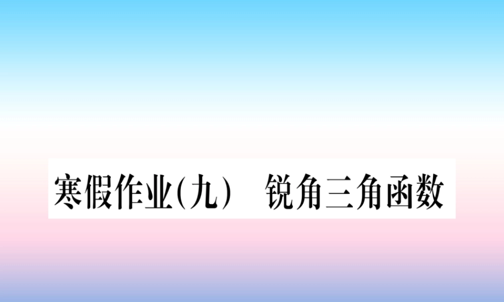 九年级数学下册 寒假作业(九)锐角三角函数课堂导练课件(含中考真题)(新版)新人教版 课件