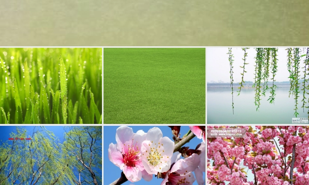 春雨的颜色课件(1)