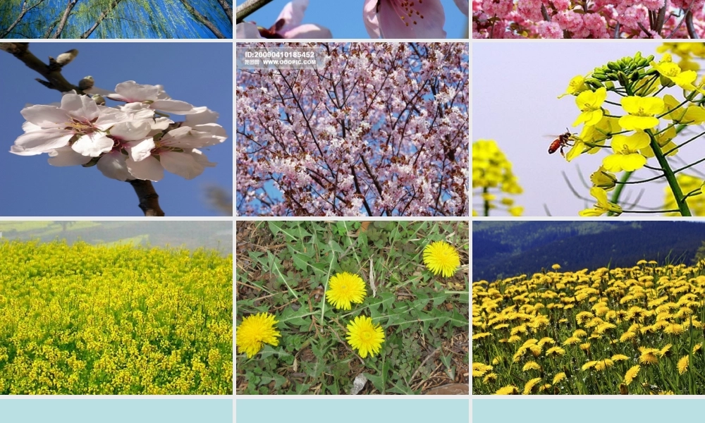 春雨的颜色课件(1)