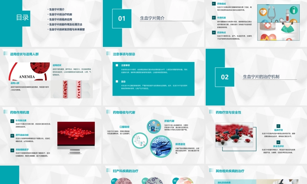 生血宁片(妇产科)课件