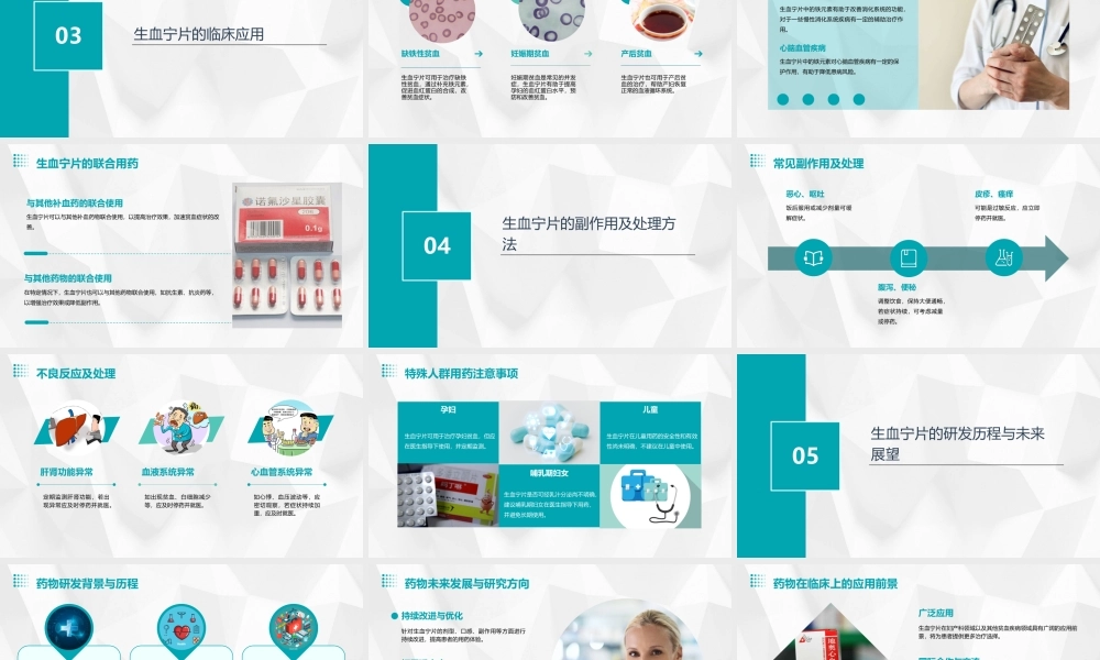 生血宁片(妇产科)课件