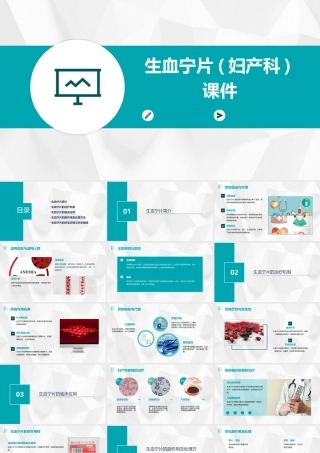 生血宁片(妇产科)课件
