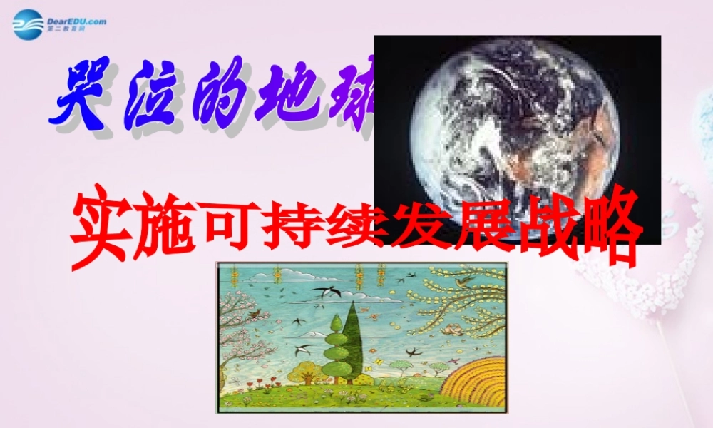 九年级政治全册(第二单元 第四课 第四框 实施可持续发展战略)课件 新人教版 课件