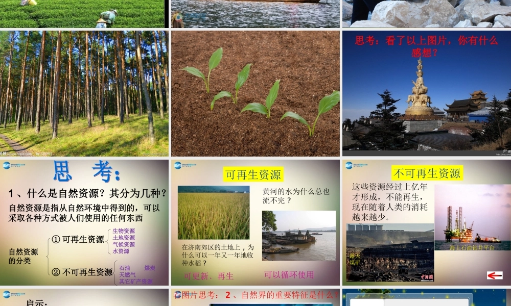 中学八年级政治下册 第一课 人类的朋友课件 教科版 课件