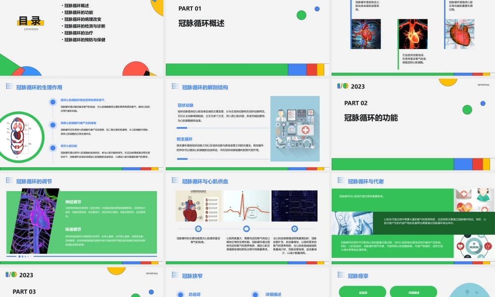 生理冠脉循环课件