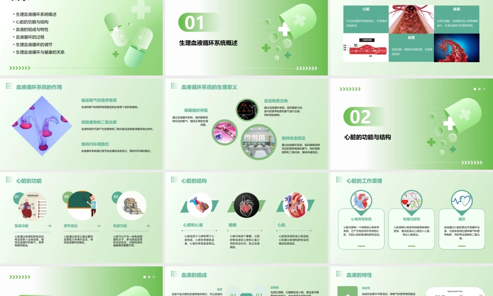 生理血液循环(h)资料课件