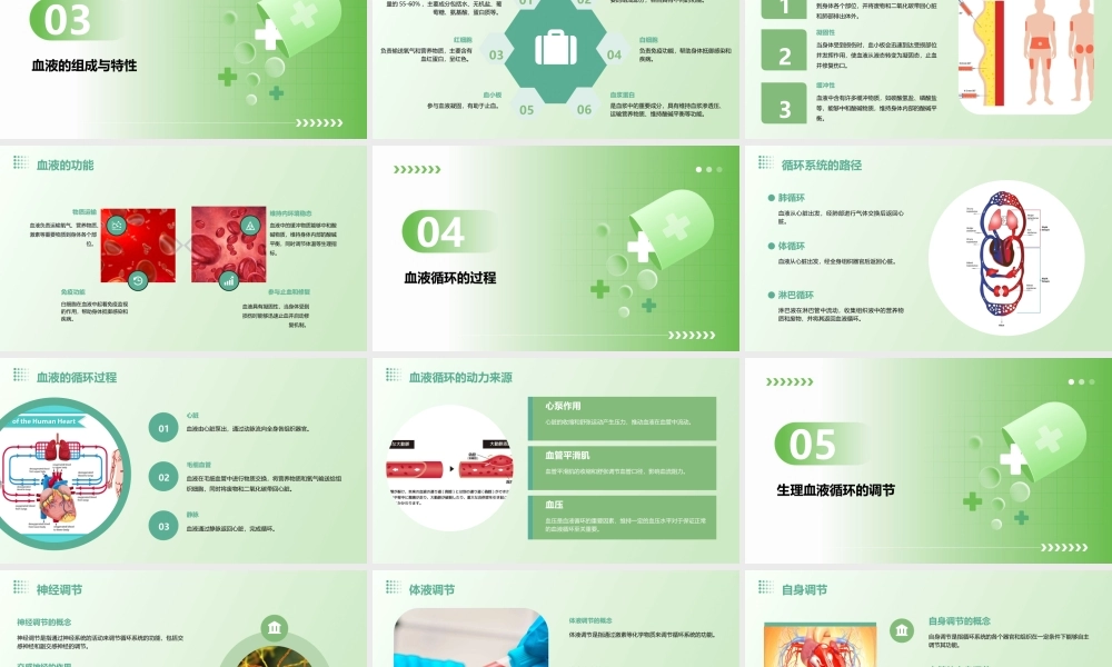 生理血液循环(h)资料课件