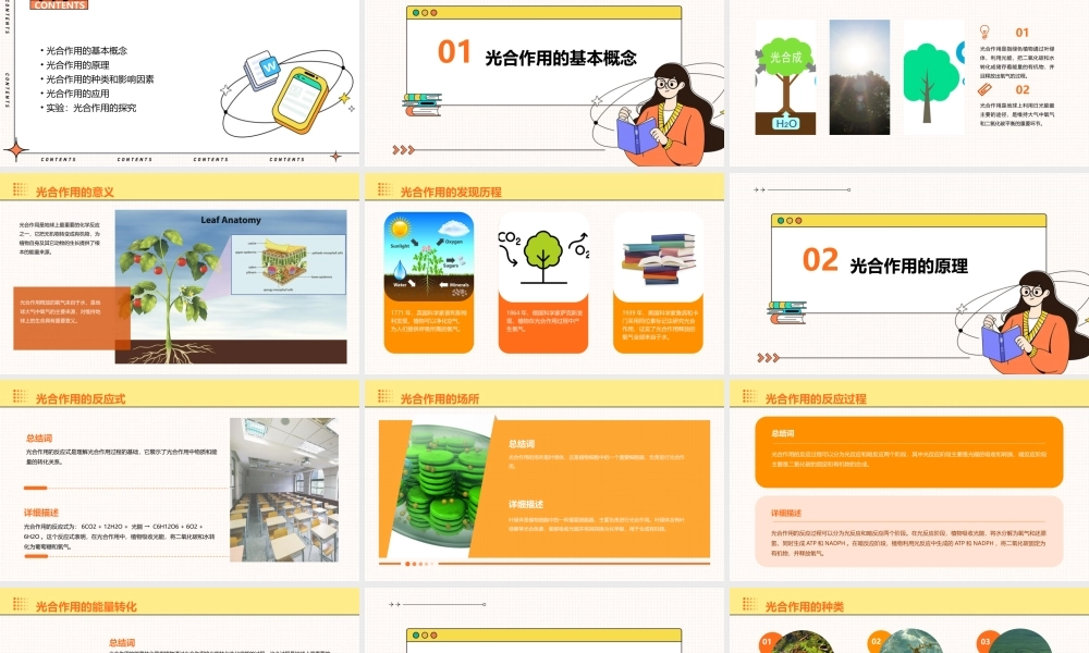 生物必修一能量之源——光与光合作用课件