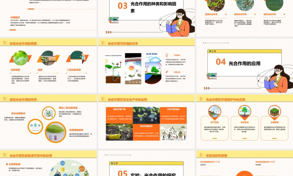 生物必修一能量之源——光与光合作用课件