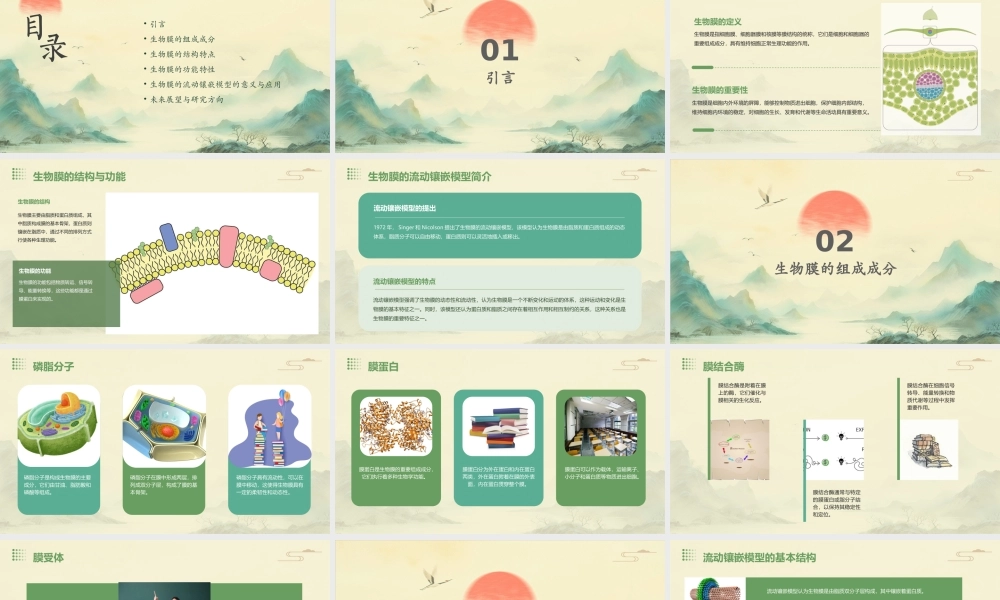 生物膜的流动镶嵌模型通用课件