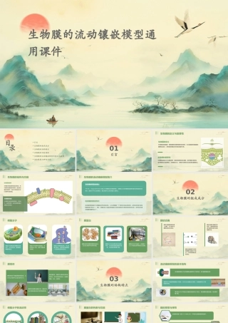 生物膜的流动镶嵌模型通用课件