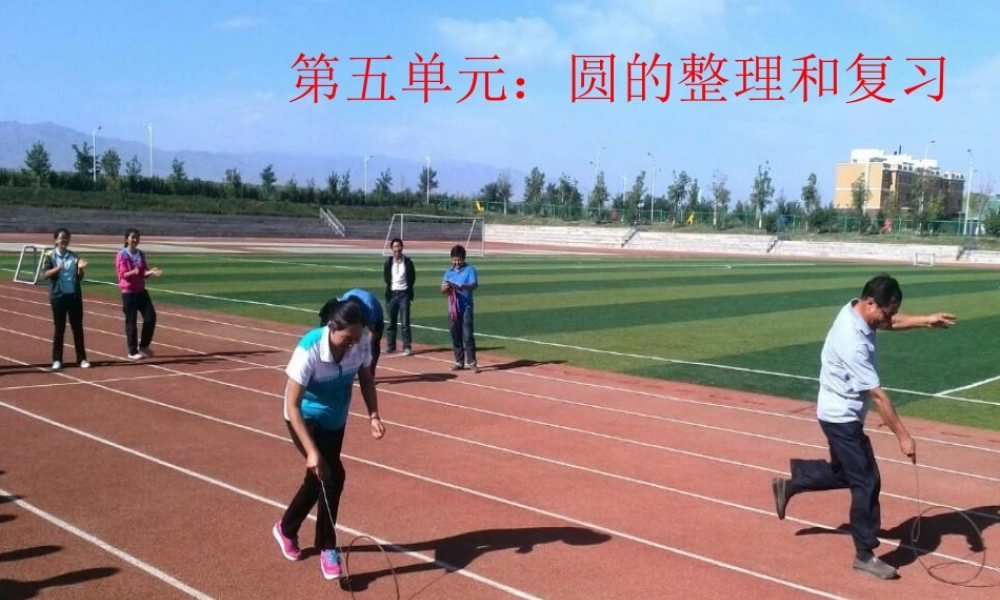 圆的整理和复习