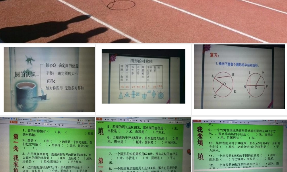 圆的整理和复习