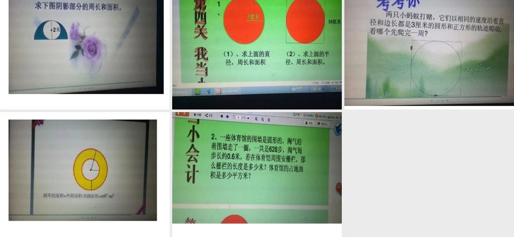 圆的整理和复习