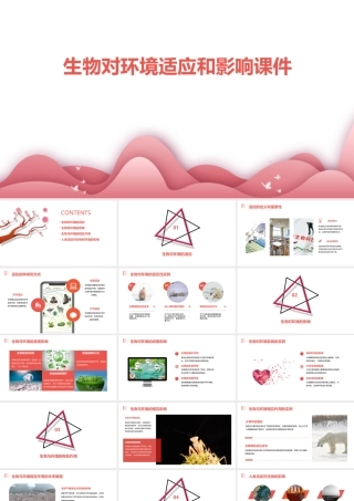 生物对环境适应和影响课件