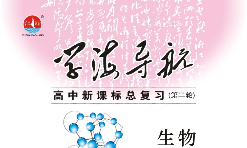 专题4小专题13生物的进化