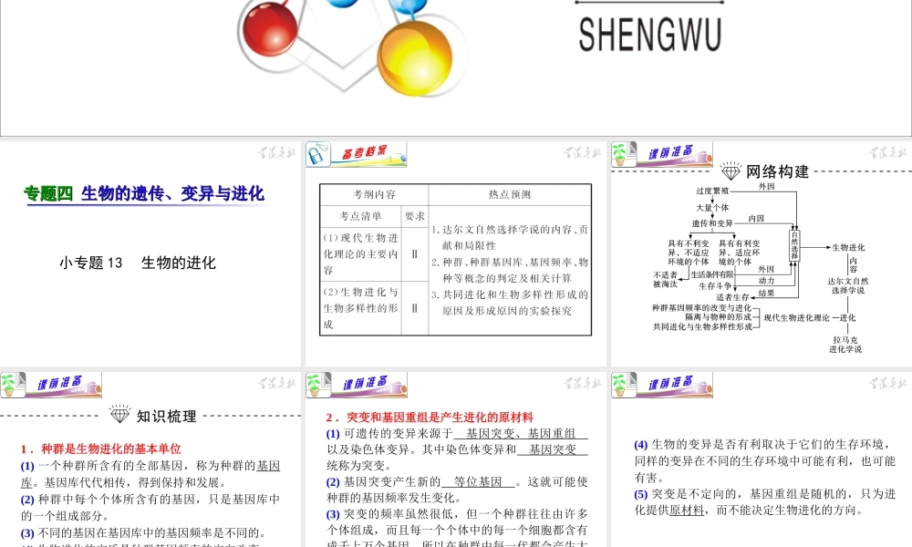 专题4小专题13生物的进化