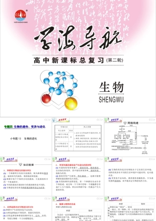 专题4小专题13生物的进化