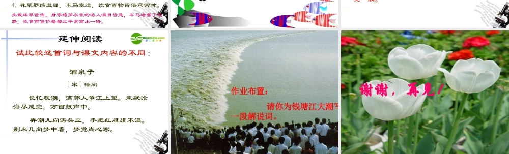 八年级语文上册(观潮)课件 新人教版 课件