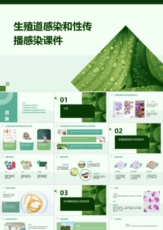 生殖道感染和性传播感染课件