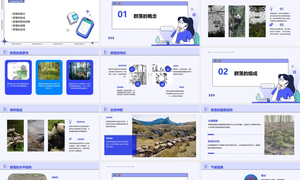 生物必修三群落的结构课件