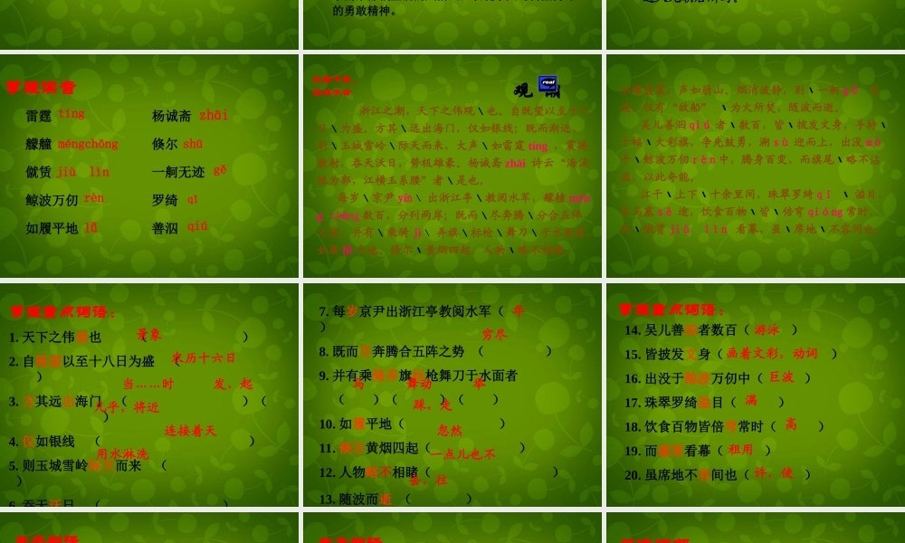 八年级语文上册 第六单元 28 观潮课件 新人教版 课件