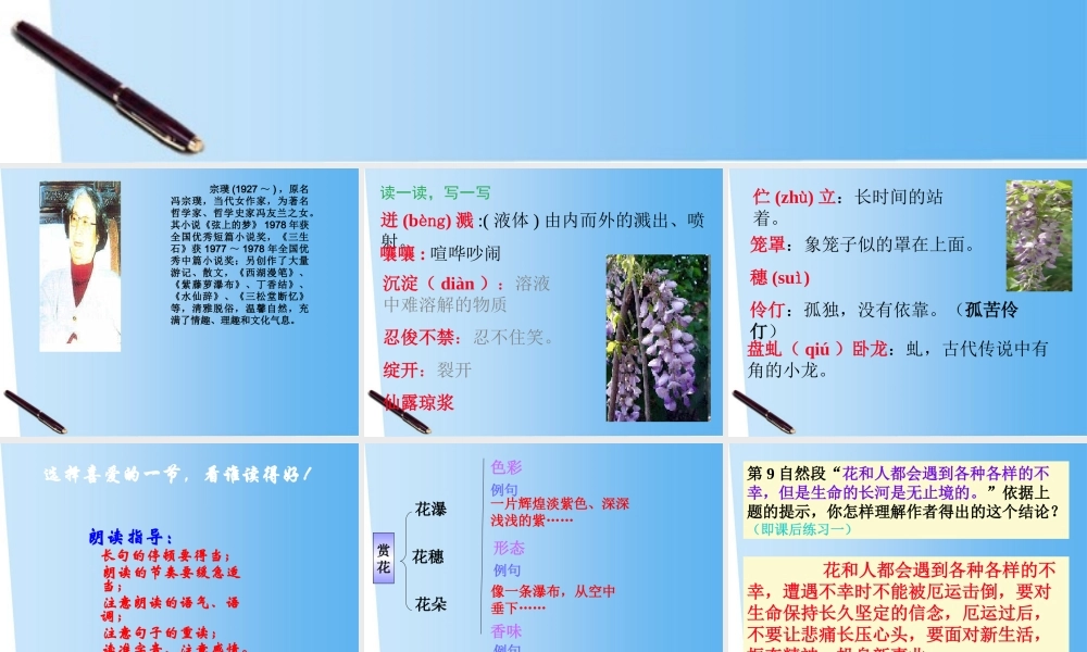 七年级语文上册 紫藤萝瀑布课件 人教新课标版 课件