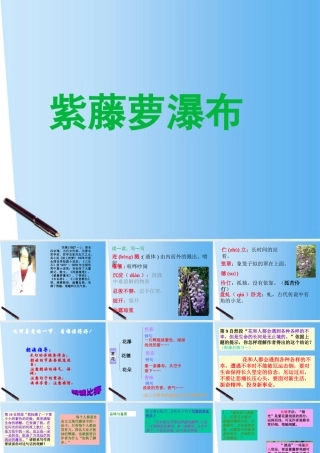 七年级语文上册 紫藤萝瀑布课件 人教新课标版 课件