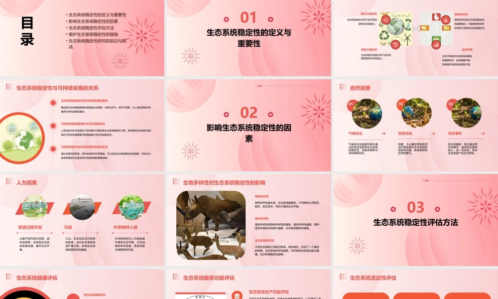 生态系统中的稳定性课件