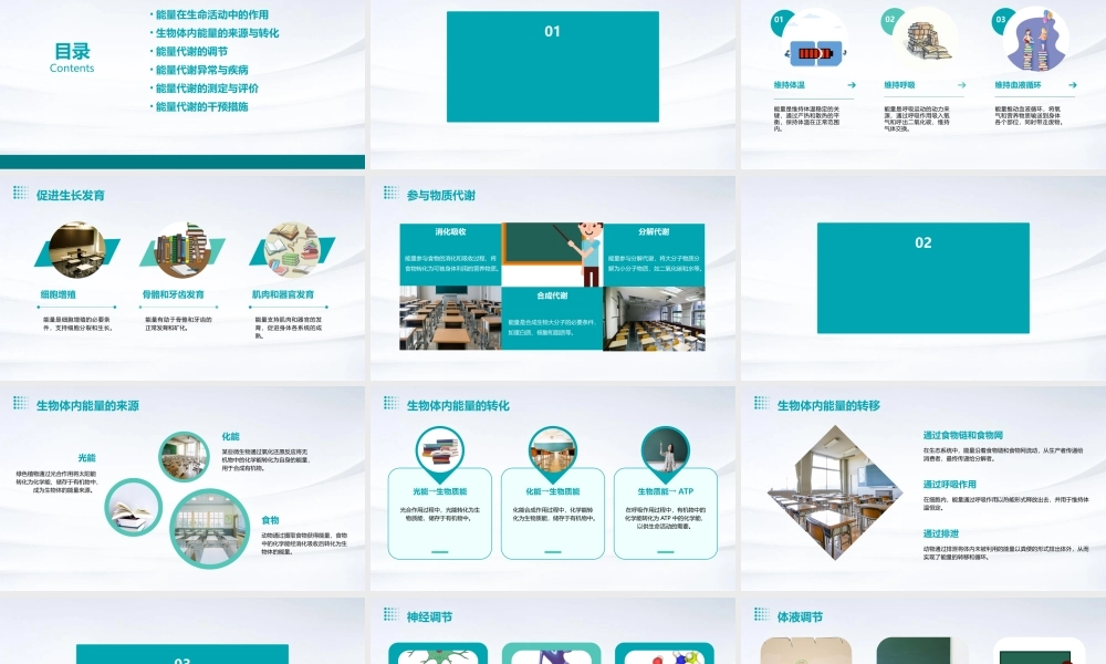 生命活动需要能量教程课件