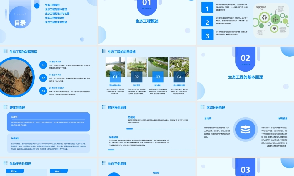 生态工程及其基本原理课件