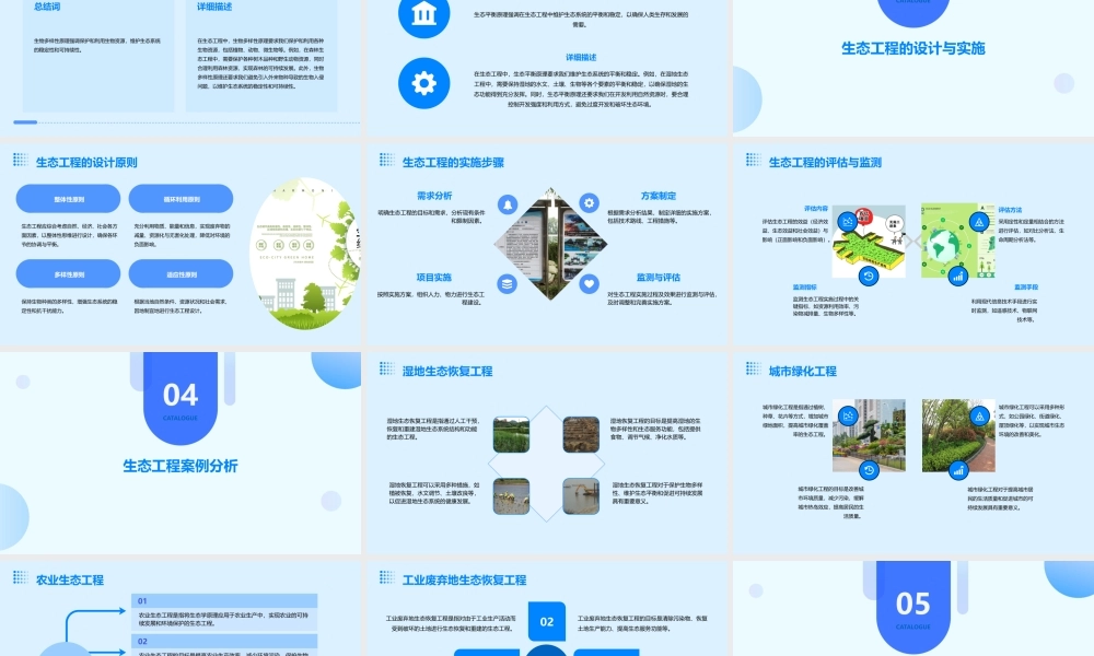 生态工程及其基本原理课件